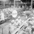 United States, workers at Dole Plantation factory in Wahiawa
