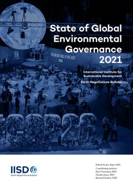 State of Global Environmental Governance 2021