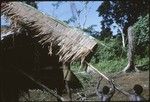 Men working on the ridge piece of house thatching, and putting it on the roof