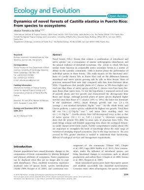 Dynamics of novel forests of Castilla elastica in Puerto Rico: from species to ecosystems