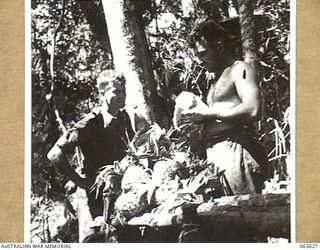 "THE PLATEAU" RAMU VALLEY, NEW GUINEA. 1944-01-18. NX119366 PRIVATE E. G. DYSON, THE COOK (1) AND NX125012 PRIVATE W. J. FREELAND (2) OF NO. 11 PLATOON, B COMPANY 2/9TH INFANTRY BATTALION, ..