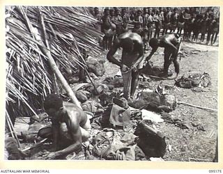KIARIVU, NEW GUINEA, 1945-08-11. NATIVE POLICE EXAMINING THE CLOTHING AND GEAR OF NATIVES WHO HAVE BEEN RELEASED DURING THE 2/7 INFANTRY BATTALION OCCUPATION OF THE VILLAGE. 2/7 INFANTRY BATTALION ..