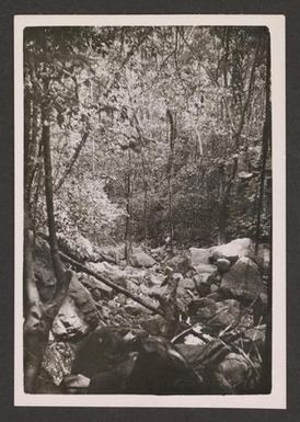 [View from Mountain]