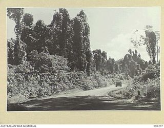 BOUGAINVILLE. 1945-04-23. AMERICAN ROAD, TOROKINA