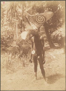 Baining man wearing a dance head dress, East New Britain Island, Papua New Guinea, probably 1916