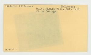 [Hibiscus tiliaceus in Hawaii, envelope IE14-191]