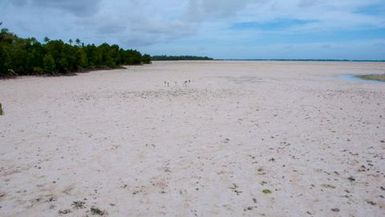 Tarawa general