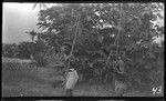 Two men with striking weapons at Kirakira, Makira