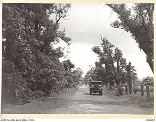 RABAUL, NEW BRITAIN, 1945-09-11. A VEHICLE OF 13 FIELD COMPANY, ROYAL AUSTRALIAN ENGINEERS, IN ONE OF THE STREETS OF RABAUL KNOWN AS MANGO AVENUE. THE BEAUTIFUL TREES OF THE AVENUE SHOW SIGNS OF ..