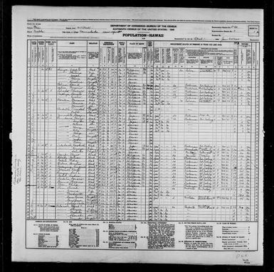 1940 Census Population Schedules - Hawaii - Maui County - ED 5-30