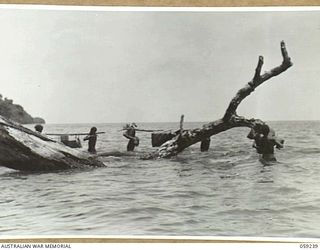 BUKAUA, NEW GUINEA, 1943-10-21. AUSTRALIAN AND NEW GUINEA ADMINISTRATIVE UNIT PARTY, WAIST DEEP IN THE WATER, WADING AROUND A POINT ON THE BEACH BETWEEN BUKAUA AND YAMBO