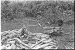 Woman chopping firewood