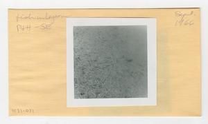 [Fish in Hawaii, envelope IE31-071]