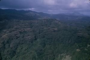 [Aerial view of a mountain in Lihue, United States]