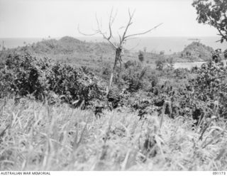 KARAWOP AREA, NEW GUINEA. 1945-04-19. MEMBERS OF 2/1 INFANTRY BATTALION MOVING FORWARD THROUGH COUNTRY CLEARED BY THEIR BATTALION WHERE 6 DIVISION PATROLS ARE SEEKING OUT THE JAPANESE AND CLEARING ..