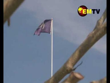 TEMU ON BOUGAINVILLE AFFAIRS