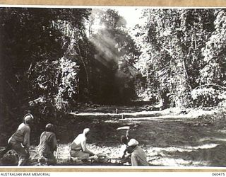 LANGEMAK BAY, DREGER HARBOUR, FINSCHHAFEN AREA, NEW GUINEA. 1943-11-11. ENGINEERS OF THE 870TH UNITED STATES ENGINEER AVIATION BATTALION BLASTING OUT A TREE WHICH WAS TOO LARGE TO BE REMOVED BY A ..