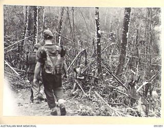 BERRY'S HILL, CENTRAL BOUGAINVILLE, 1945-06-27. A PATROL OF 7 INFANTRY BATTALION DESCENDING BERRY'S HILL ON THE FIRST LEG OF THE MOVE TO WEARNE'S HILL