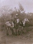 Two men on horseback, near Bourail