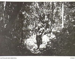 OIVA RIVER, NEW BRITAIN. 1945-02-07. MEMBERS OF A PATROL FROM B COMPANY, 1ST NEW GUINEA INFANTRY BATTALION MOVING THROUGH THE JUNGLE WITH THEIR OWEN GUNS AT THE READY