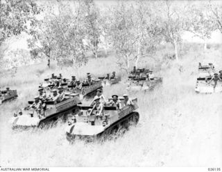 NEW GUINEA, 1942-08. BREN GUN AND UNIVERSAL CARRIERS OF THE 39TH INFANTRY BATTALION AUSTRALIAN MILITARY FORCES, PHOTOGRAPHED WHILST ON MANOEUVRES IN THE NEW GUINEA JUNGLE. THE KUNAI GRASS IN THIS ..