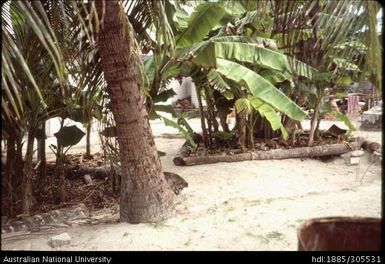 Composting at Funafuti