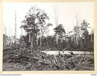 TOL, NEW BRITAIN, 1945-08-01. HUGE LOGS AND DEBRIS WASHED DOWN THE FLOODED WULWUT RIVER IN 4 FIELD COMPANY, ROYAL AUSTRALIAN ENGINEERS, AREA. THE FORCE OF THE DEBRIS CARRIED THE BRIDGE AWAY
