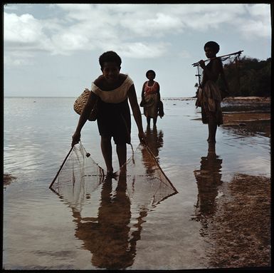Fiji, Kadavu Island. Women and children collecting seafood with hand nets and baskets