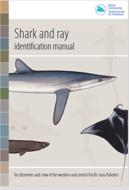 Shark and identification manual for observers and crew of the Western and Central Pacific tuna fisheries