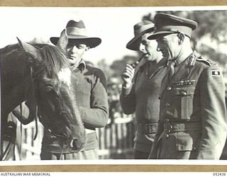 HERBERTON, QLD. 1943-06-12. THE GENERAL OFFICER COMMANDING, 6TH AUSTRALIAN DIVISION, MAJOR-GENERAL J.E.S. STEVENS, CB, DSO, ED, TALKING TO PRIVATE C.P. KAVANAGH, WHO IS HOLDING HIS HORSE "MUSSO"