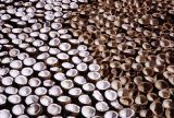 French Polynesia, halved coconuts drying in sun