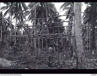 GAZELLE, NEW BRITAIN, 1945-11-23. JAPANESE TROOPS CONSTRUCTED A PRISONER OF WAR CAMP UNDER THE DIRECTION OF 13TH FIELD COMPANY. SAPPER M.L. O'CONNOR SHOWN GIVING INSTRUCTIONS ON THE ERECTION OF THE ..
