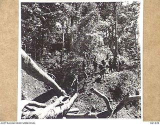 KOKODA TRAIL, NEW GUINEA. 1943-12-19. CAMERAMEN OF CHAUVEL'S PRODUCTIONS, TROOPS OF THE 2/9TH AUSTRALIAN INFANTRY BATTALION AND NATIVES MOVING FROM UBERI TO OWERS' CORNER IN THE OWEN STANLEY RANGES ..