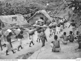 1943-06-28. NEW GUINEA. WAU-MUBO AREA. NATIVE CARRIERS SET OUT ALONG THE TRACK IN THE WAU-MUBO AREA, CARRYING SUPPLIES TO FORWARD AREAS. (NEGATIVE BY G. SHORT)