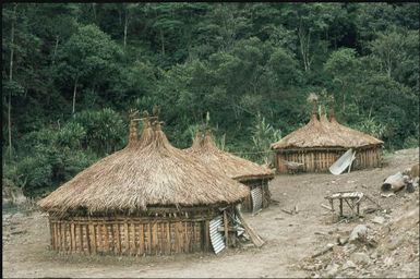 Goroka houses: note use of corrugated iron (1) : Wahgi Valley, Papua New Guinea, 1970 / Terence and Margaret Spencer