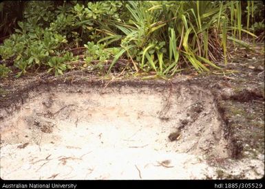 Soil profile, Vaitupu