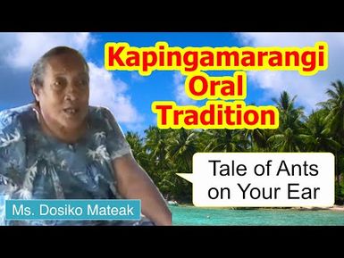 Tale of ants on your ear, Kapingamarangi Atoll