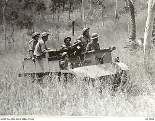 PORT MORESBY, PAPUA. 1942-07-11. A MACHINE GUN CARRIER GOES IN TO THE ATTACK THROUGH THICK BUSH DURING MANOEUVRES CARRIED OUT BY AUSTRALIAN INFANTRY IN THE NEW GUINEA BUSH