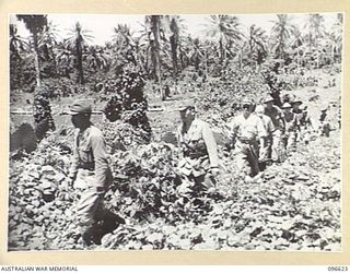 BONIS PENINSULA, BOUGAINVILLE. 1945-09-15. DURING SURRENDER DISCUSSIONS AT JAPANESE NAVAL HEADQUARTERS, BONIS PENINSULA, THE AUSTRALIAN SURRENDER PARTY, MEMBERS OF HEADQUARTERS 2 CORPS, MOVED ..