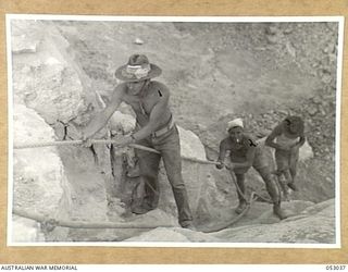 PORT MORESBY, NEW GUINEA. 1943-06-26. TROOPS OF THE 5TH AUSTRALIAN EMPLOYMENT COMPANY CLIMBING ROPE UP QUARRY FACE. LEFT TO RIGHT:- NX99111 SAPPER T. GEAREN, W11825 PRIVATE G.M. MURRAY AND NX168787 ..