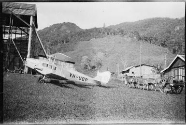 De Havilland Moth VH-UQP alongside a bullock wagon, Wau, New Guinea, 1933 / Sarah Chinnery