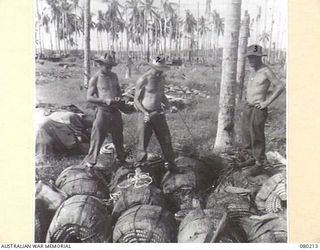 HANSA BAY, NEW GUINEA. 1944-07-10. MEMBERS OF THE 5TH DIVISION SALVAGE GROUP EXAMINE A TRIP WIRE BOOBY TRAPPED TO A FRAGMENTATION BOMB POSITIONED IN A CORDAGE DUMP NORTH OF THE BAY BY RETREATING ..