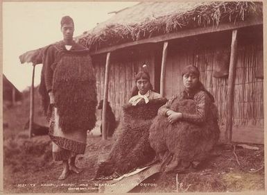 Te Hahipu, Poipoi, and Ngataua at Pitoritori. From the album: Tahiti, Samoa and New Zealand scenes