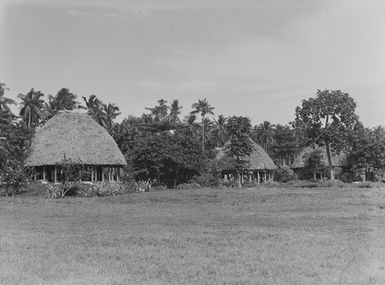 [Village scene showing buildings with thatch roofing and palm trees]