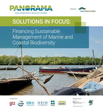 Solutions in Focus: Financing sustainable management of marine and coastal biodiversity.