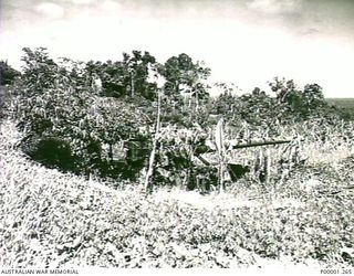 THE SOLOMON ISLANDS, 1945-10-13. A CAMOUFLAGED JAPANESE FIELD GUN ON BOUGAINVILLE ISLAND. (RNZAF OFFICIAL PHOTOGRAPH.)