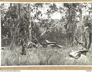 DONADABU AREA, NEW GUINEA. 1943-11-30. A VICKERS 303 MACHINE GUN CREW OF THE 2/10TH AUSTRALIAN INFANTRY BATTALION IN ACTION DURING A COMBINED EXERCISE WITH THE 2/4TH AUSTRALIAN FIELD REGIMENT. ..