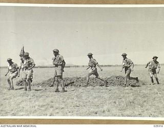 FORBES, NSW. 1943-02. "GUINEA PIGS" TAKING PART IN AN EXPERIMENTAL GAS SHELL SHOOT BY 2/2 FIELD REGIMENT, ROYAL AUSTRALIAN ARTILLERY, REHEARSING RAPID MOVEMENT FROM THE TRENCH IN THE CENTRE OF THE ..