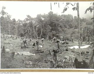 NEW GUINEA, 1943-08-01. GOODVIEW DROPPING AREA SHOWING NATIVES PICKING UP SUPPLIES. THESE NATIVES ARE UNDER THE CONTROL OF THE AUSTRALIAN AND NEW GUINEA ADMINISTRATIVE UNIT AND ARE EMPLOYED BY THE ..