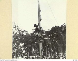 SONG RIVER, FINSCHHAFEN REA, NEW GUINEA. 1944-03-26. A NATIVE ATTEMPTING TO REACH A STICK OF TOBACCO SUSPENDED FROM A POLE DURING FESTIVITIES HELD IN THE AUSTRALIAN NEW GUINEA ADMINISTRATIVE UNIT ..